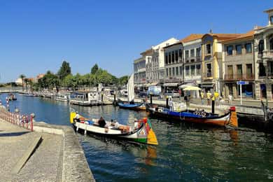 Lisbon to Porto Escapade: Aveiro and Coimbra Delights
