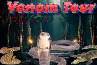 Bristol: Venomous Snake Tour with Reptile Photo