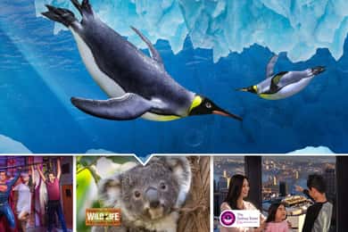 Sydney: Ultimate City Pass for 5 Attractions with Skywalk