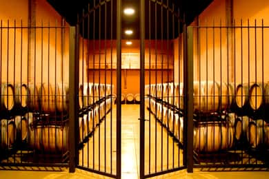 La Rioja: Winery Tour and 4-Course Meal with Wine Pairing