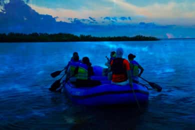 Merritt Island: Bioluminescent Paddle Raft Tour