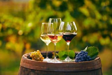 Fra Chania: Olivenolje, vin, ost og honningsmaking