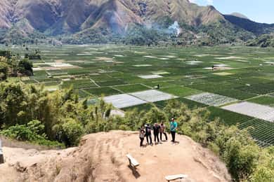 From Mataram: Sembalun Village & Sendang Gile Waterfall Tour