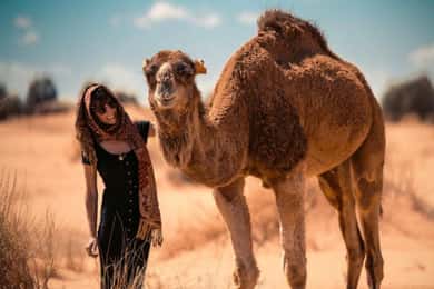 Cappadocia: Camel Safari Tour with Transfer