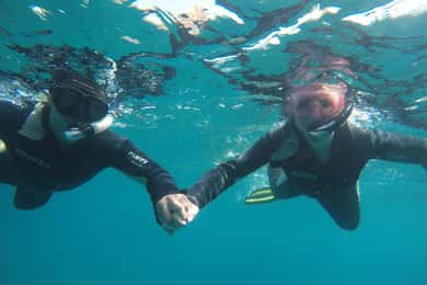 Snorkling fra båd