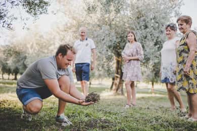 Buje: Istrian Family Farm med rundvandring, mat och vin