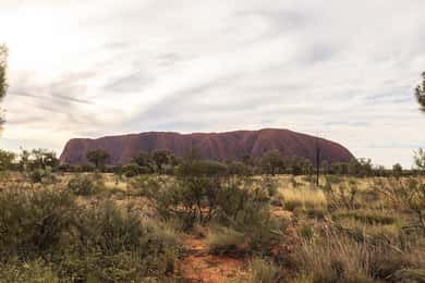 Uluru: Small Group Sunset Tour with Sparkling Wine