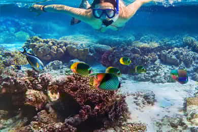 Pigeon Island Snorkeling Tour from Uppuveli Beach