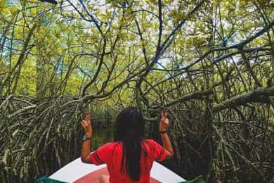 From Kalutara:Exclusive Galle Dutch Fort & Madu River Safari