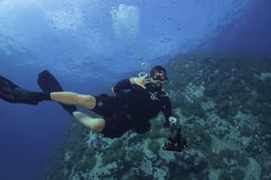 Koh Tao: Privat grundlæggende dykkeroplevelse med 2 dyk
