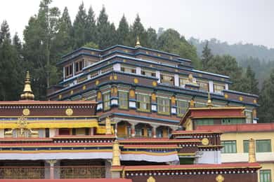 Bagdogra: Tour de 6 días por Darjeeling, Gangtok y Kalimpong
