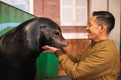 Georgia Aquarium: Sea Lion Encounter
