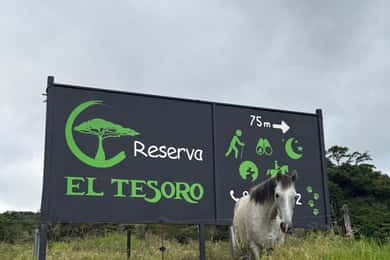 Monteverde: Horseback Riding