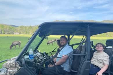 2,5-3 ore Maggie Valley: avventura panoramica guidata in UTV