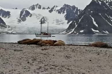 Longyearbyen: 10-tägige Spitzbergen-Kreuzfahrt auf dem Boot Havella