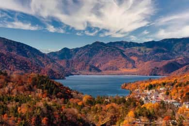 Da Tokyo: tour privato di un giorno al patrimonio mondiale dell'umanità di Nikko