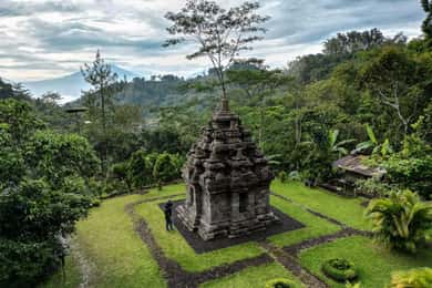 Yogyakarta :selogriyo temple, rice field trek& nepalvan java
