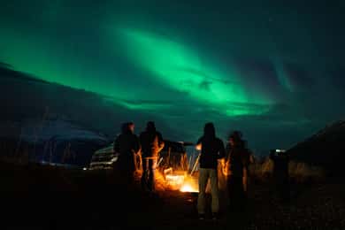 Narvik: Guidad tur för att se norrsken med fotograferingstips