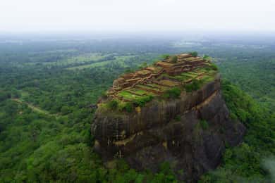 Colombo/Negombo: Sigiriya, Dambulla Cave, & Safari Day Tour