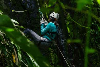 Puerto Viejo: ¡Aventura en la selva con barranquismo!
