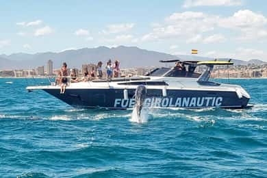 Fuengirola: Observação de golfinhos em um iate com lanches e bebidas