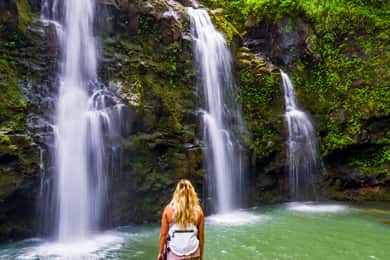 Maui Tropical Rainforest Eco Tour with Lunch