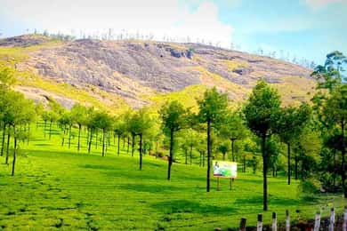 Munnar: lokale hoogtepunten dagtour met bezoek aan het hoogste station