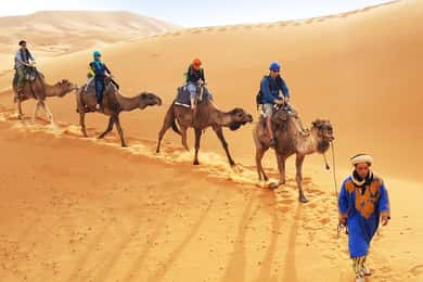 Agadir/Taghazout: Paseo en camello por el desierto y Sandboarding