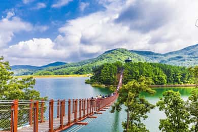 Seoul: DMZ & Observatory Tour with Suspension Bridge or Boat