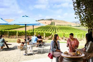 Melbourne: Yarra Valley half-day Cellar Door Winery Tour
