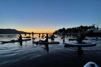 Brentwood Bay: Bioluminescence Tour