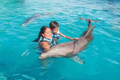 Cancún: Program pływania z delfinami na Isla Mujeres z bufetem