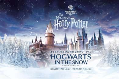 Tokyo: Shibuya Sky and Harry Potter Guided Visit