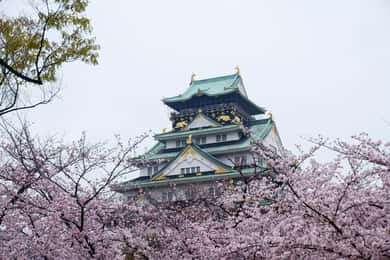 大阪大阪城3時間ウォーキングツアー