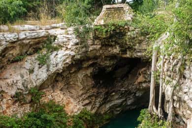 From Merida: 3 Cenotes