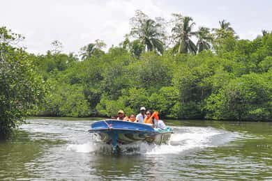 Visite de la ville de Bentota depuis Unawatuna