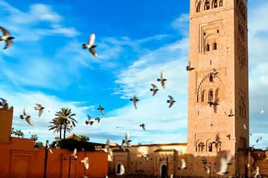Visite de Marrakech, journée privée en voiture de luxe