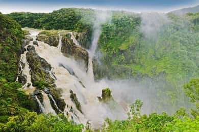 Cairns: Forest and Waterfalls Half-Day 4WD Guided Adventure