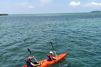 Bintan Snorkeling