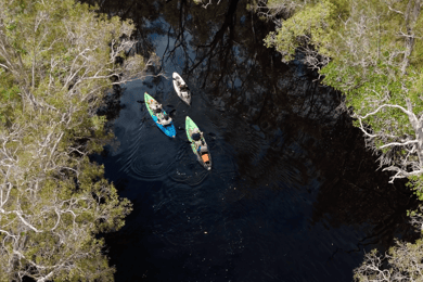 Noosa: Noosa Everglades and Stingray Sanctuary Kayak Tour