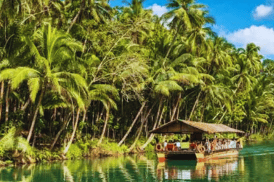 Bohol: Chocolate Hills Tour with Loboc River Cruise & Lunch