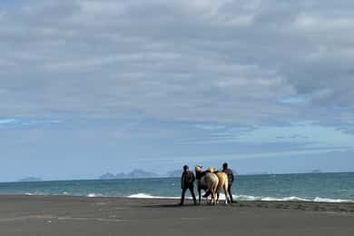sur de Islandia: Excursión a caballo por la playa negra