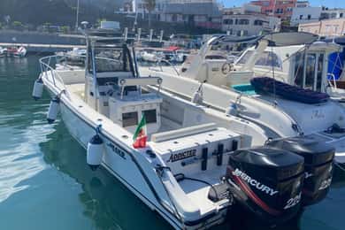 Forio: Excursões, traslados de barco e passeios de pesca