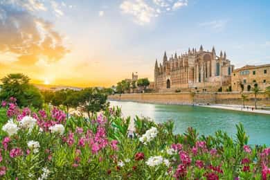 Tour privato di un giorno a Palma di Maiorca con partenza da Port