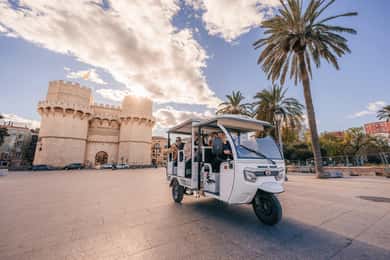 Valencia: 2-uur durende stadshoogtepunten tour met gids in Tuk-Tuk