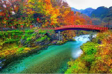 Da Tokyo: Tour di lusso di Nikko con guida in lingua inglese