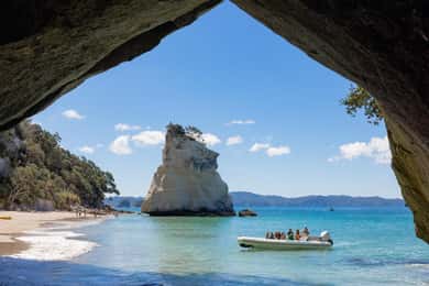Hahei Explorer Cathedral Cove Boat Tour
