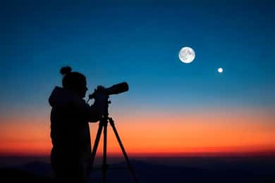 Sharm El-Sheikh: Camel Riding, Stargazing, BBQ Dinner & Show