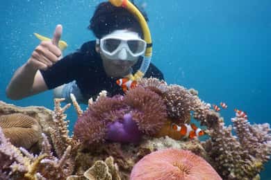 Snorkelling & islandhopping tour Karimunjawa (private tour)