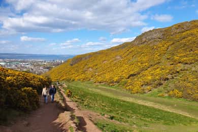 Edimburgo: escursione guidata all'Arthur's Seat e all'Holyrood Park